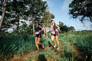 BIB: 
                            <button type="button" onclick="openModal(26003513)" class="btn btn-primary btn-sm float-right btn-popup" data-toggle="modal" data-target=".modal-high-quality">
                        <i class="fas fa-shopping-cart"></i> Add to Cart
                    </button>
                                            <button type="button" onclick="isThisMe(26003513, true)" class="btn btn-success btn-sm float-right btn-popup btn-isme hidden" data-toggle="tooltip" data-placement="bottom" title="นี่คือรูปของคุณใช่ไหม คลิกที่นี่เพื่อเอาเข้าอัลบั้ม">
                        <i class="fas fa-plus"></i> Add to album
                    </button>
                    <button type="button" onclick="isThisMe(26003513, false)" class="btn btn-warning btn-sm float-right btn-popup btn-isnotme hidden">
                        <i class="fas fa-ban"></i> Remove from album
                    </button>